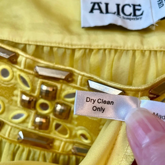 ALICE by Temperley Dress Size 2 Embellished Jeweled Neckline Sheer Retro Yellow - Picture 10 of 11